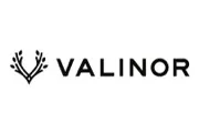 Valinor Enterprises